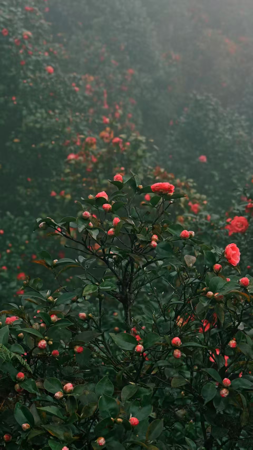 1773020068655808.jpg 微信图片_20260309092639.jpg