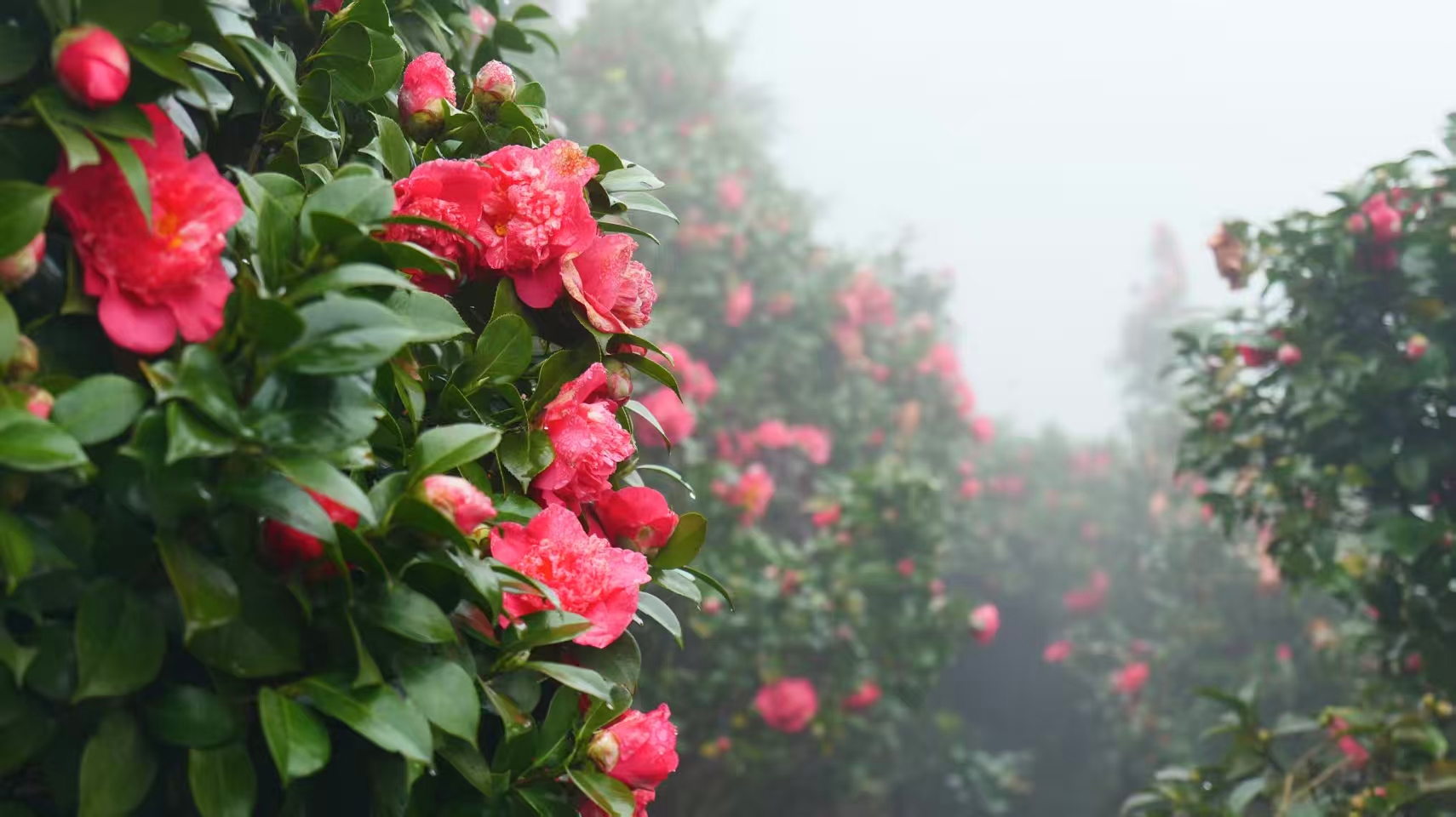 1773020073880465.jpg 微信图片_20260309092744.jpg