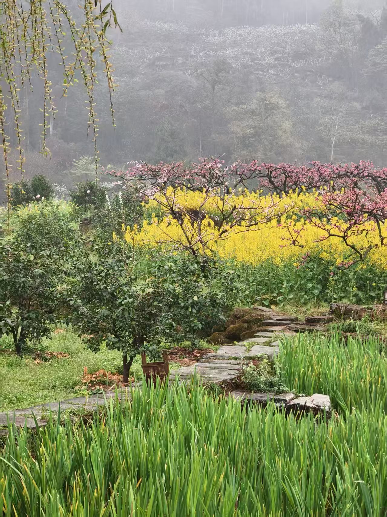 1773020106309819.jpg 微信图片_20260309092630.jpg