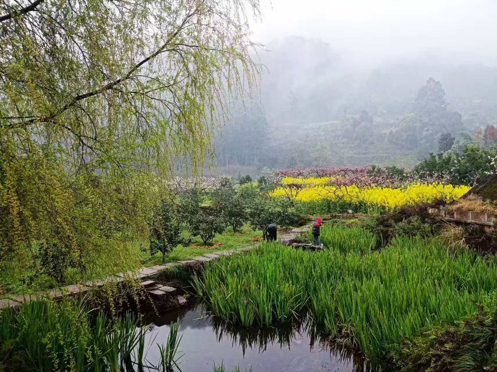 1773020109894754.jpg 微信图片_20260309092636.jpg