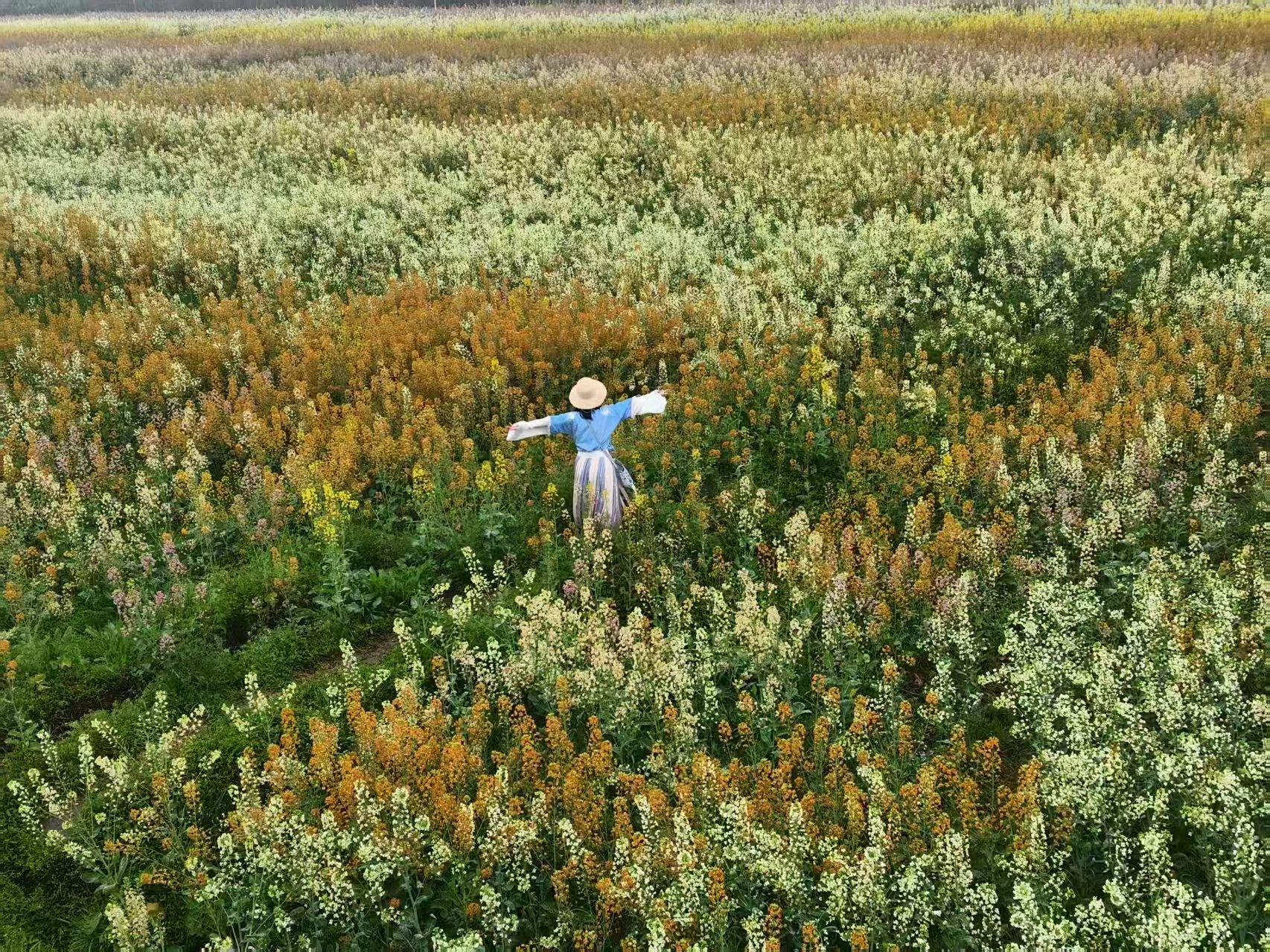 1773020112395543.jpg 微信图片_20260309092634.jpg