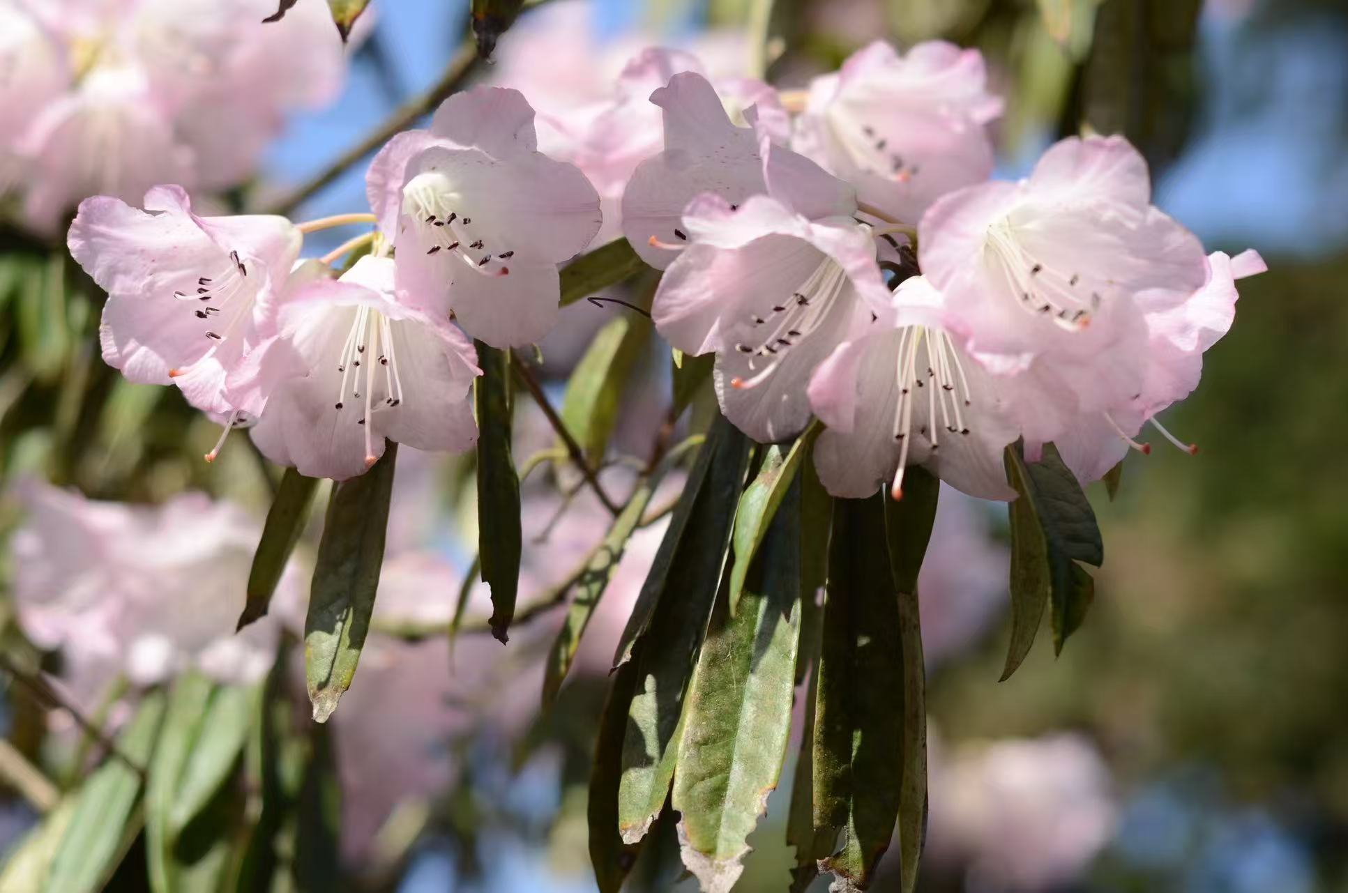 1773279879955517.jpg 微信图片_20260312094217.jpg