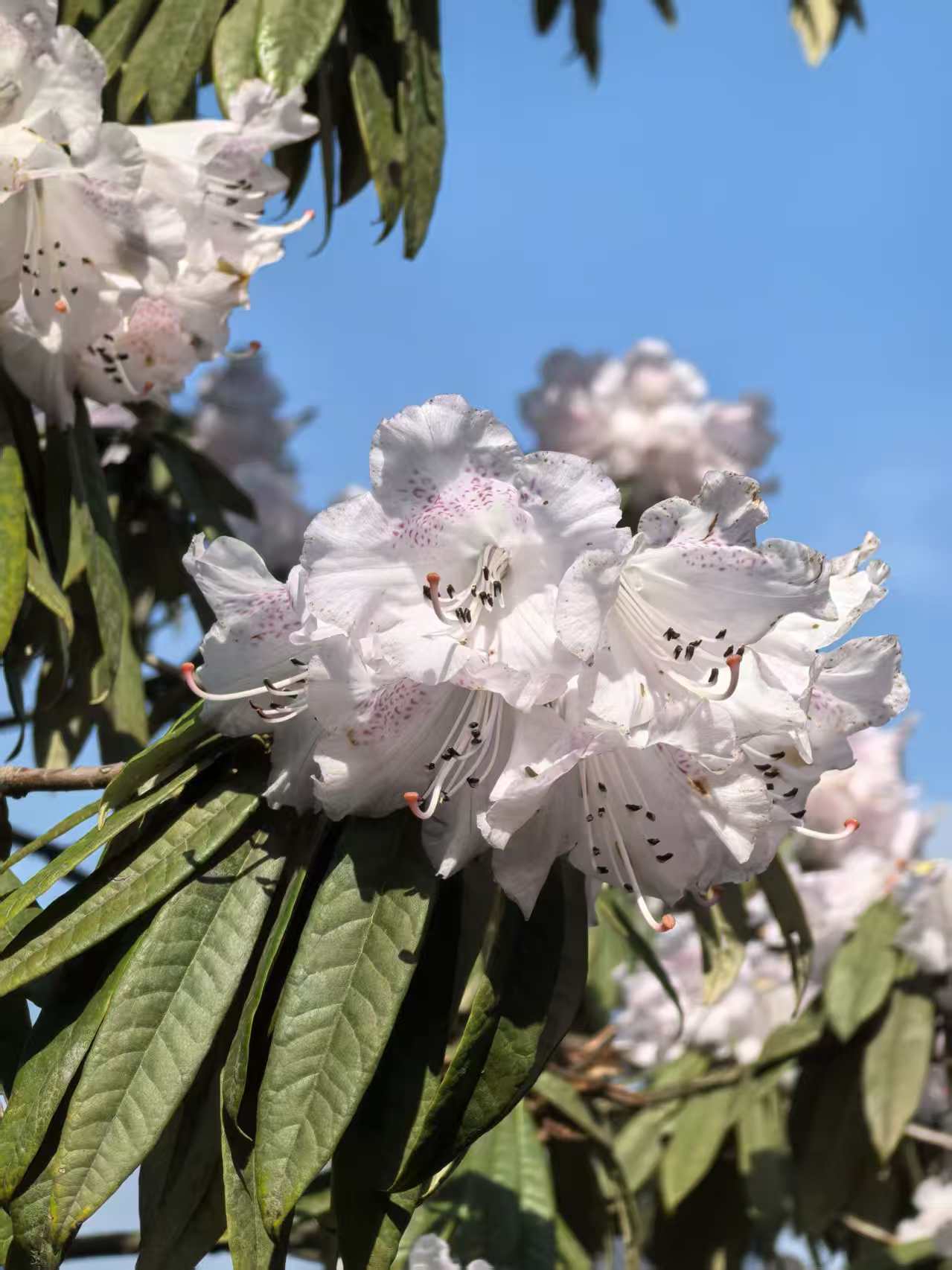 1773279882733126.jpg 微信图片_20260312094214.jpg