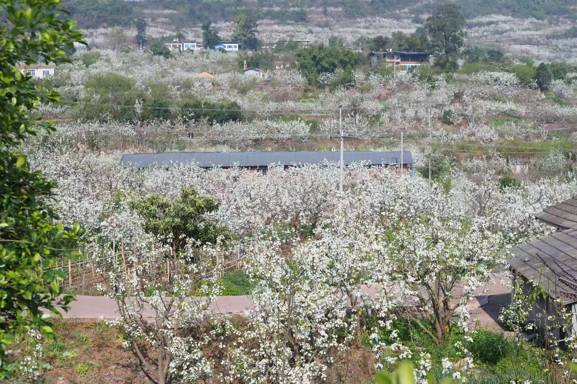 1773279909706110.jpg 微信图片_20260312094239.jpg