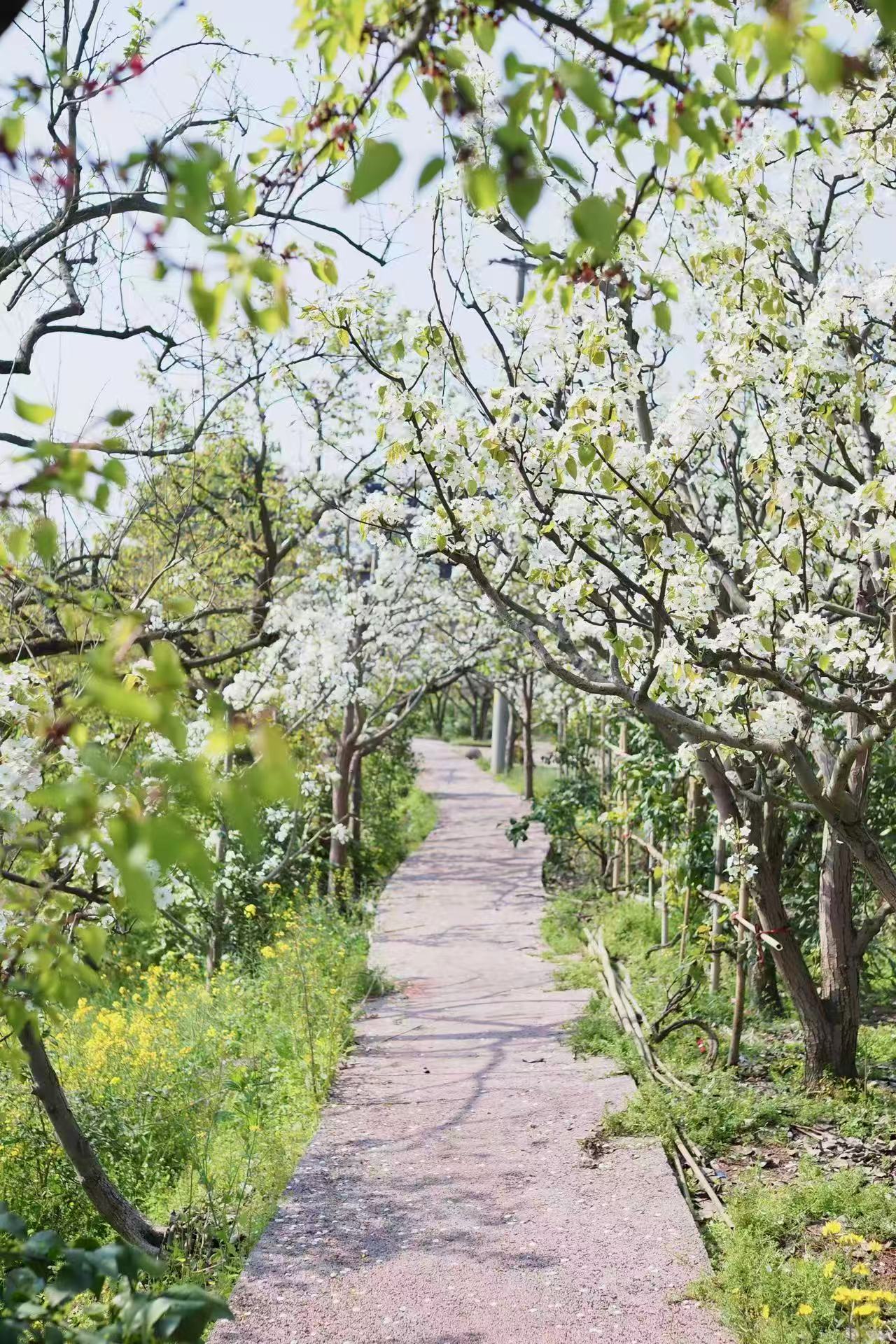 1773279912184195.jpg 微信图片_20260312094241.jpg