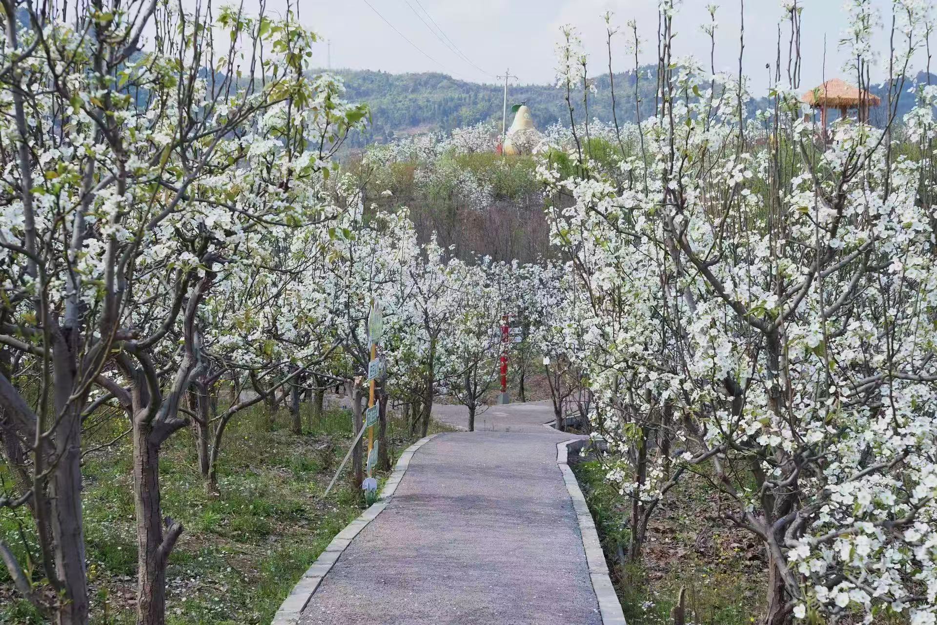 1773279914589417.jpg 微信图片_20260312094244.jpg