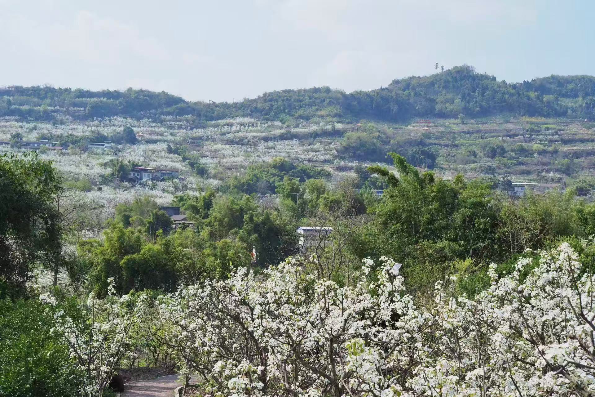 1773279916807049.jpg 微信图片_20260312094246.jpg