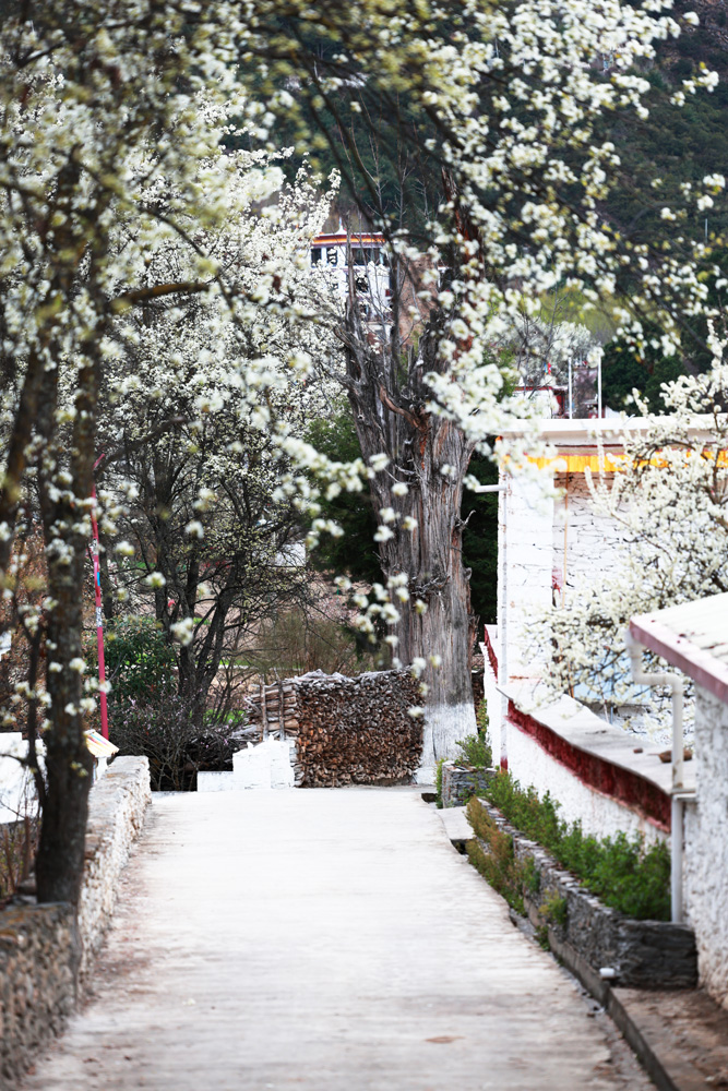 1773550800848720.jpg 微信图片_20260314222150_76_2787.jpg