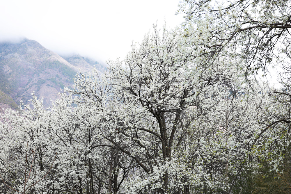 1773550809800335.jpg 4d2d9ff0aebbcc196a7484a25fec23da.jpg