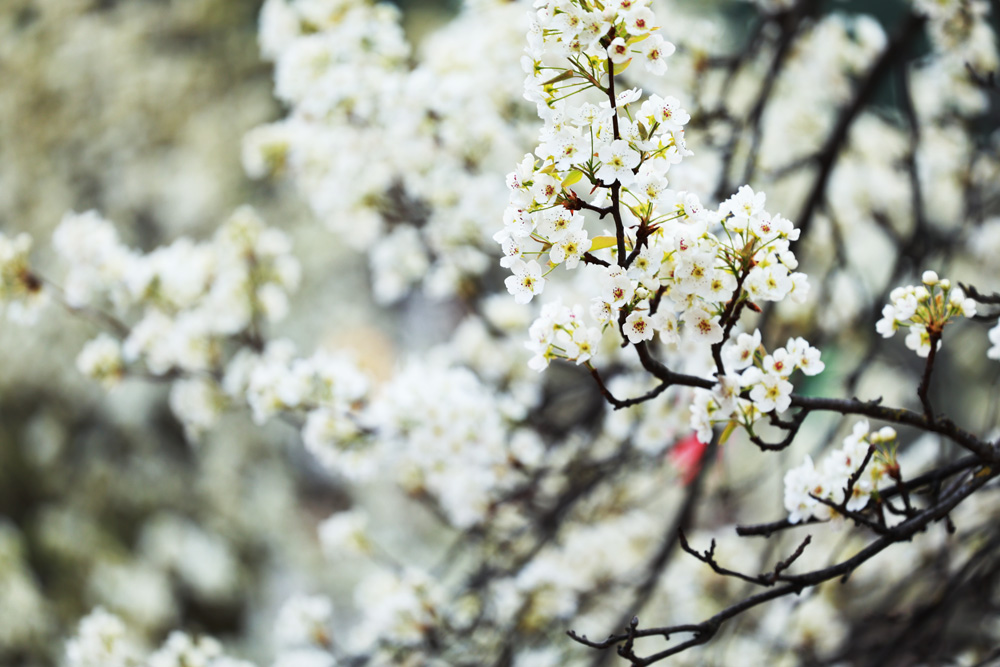 1773550958323817.jpg 微信图片_20260314222204_79_2787.jpg