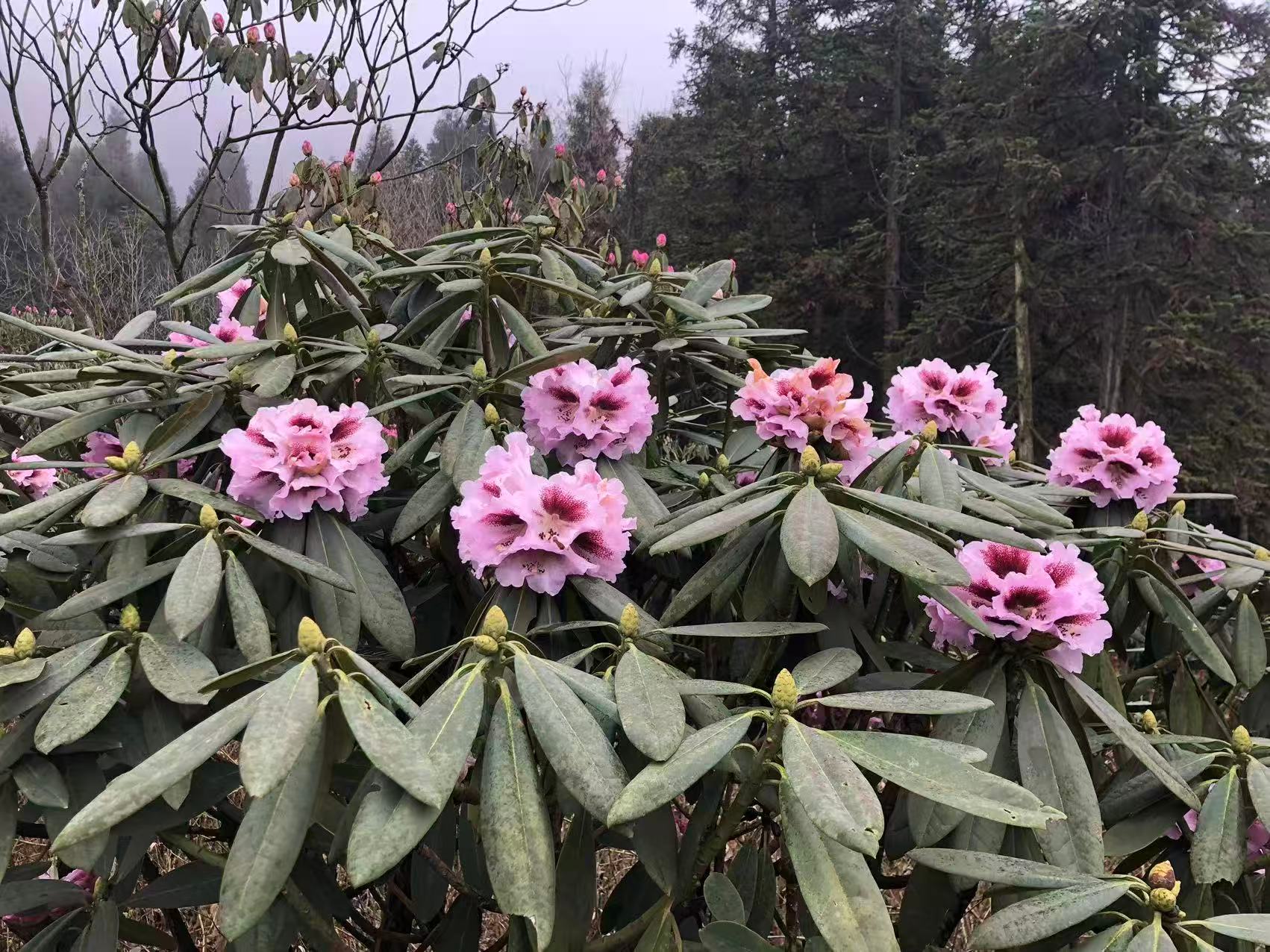 1773623285580858.jpg 微信图片_20260316090341.jpg