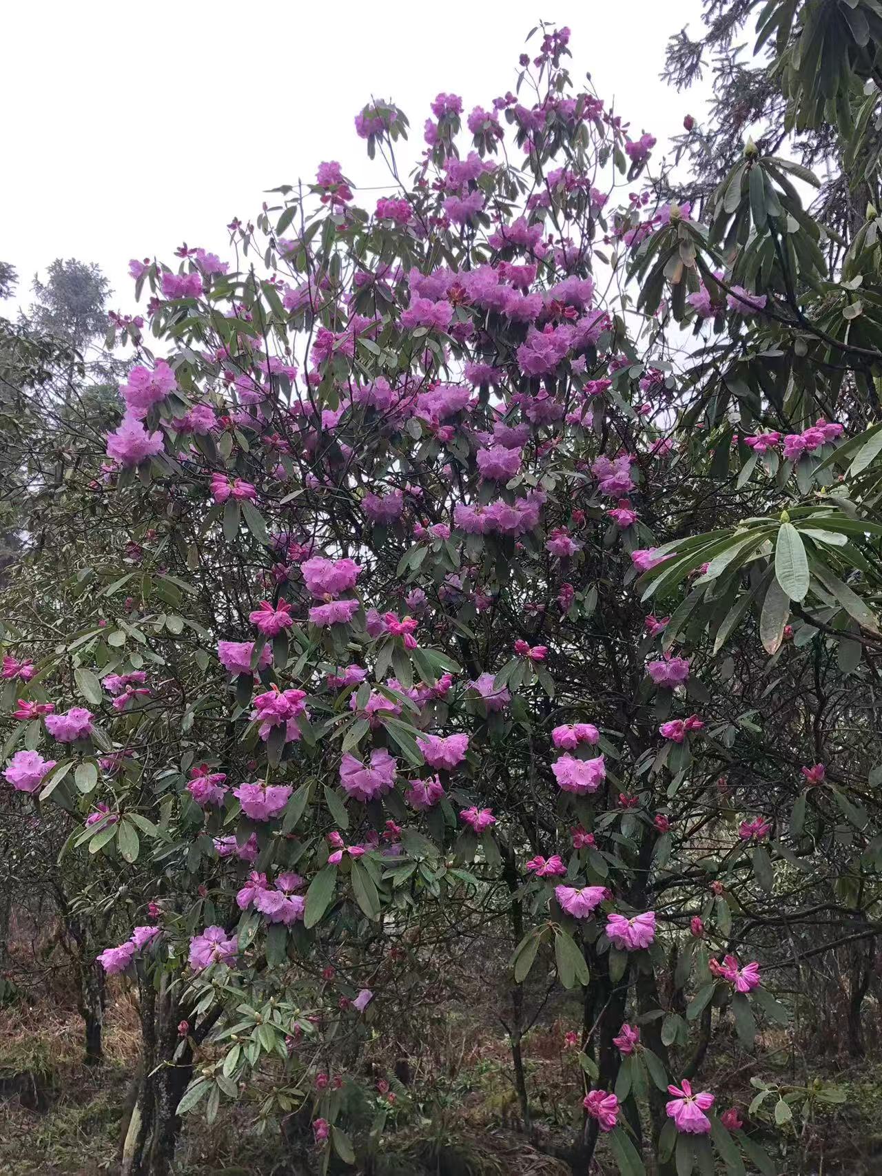 1773623287391359.jpg 微信图片_20260316090343.jpg