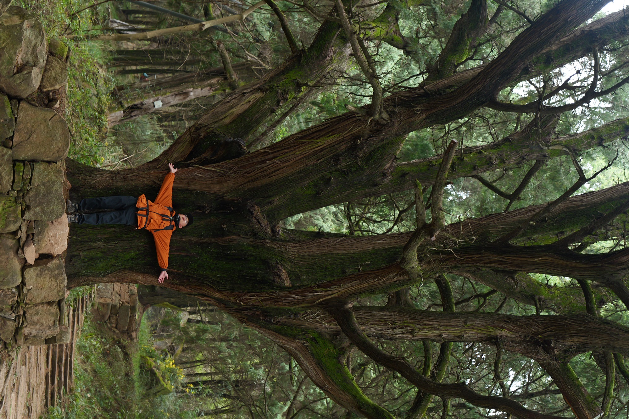 1773625395588642.jpg c53b641a039782b251b70269c9d8dd5a.jpg