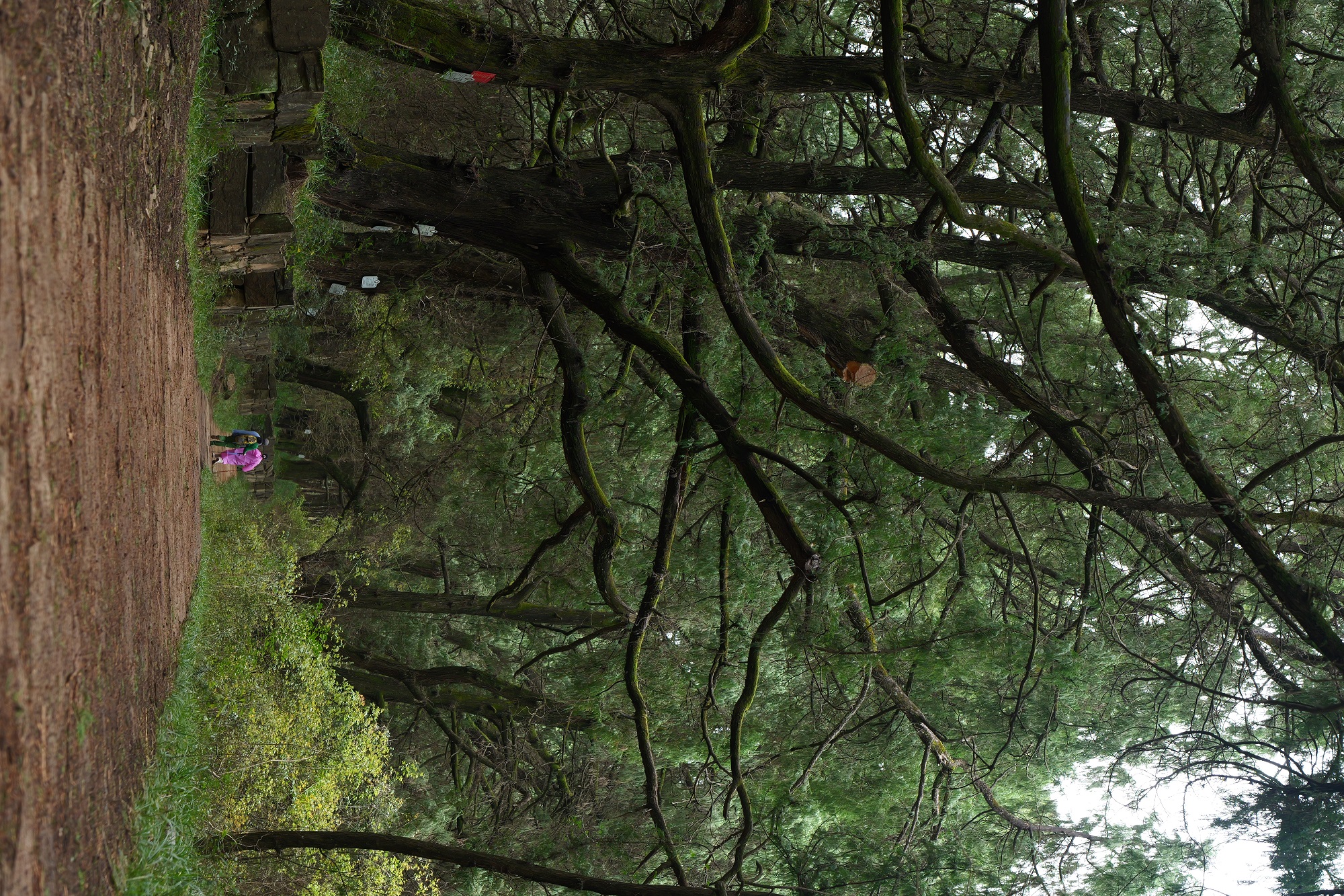 1773625413652002.jpg f69833f68fe366462852cbe6aae138b2.jpg