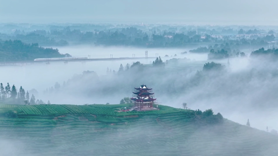 1773644954293255.jpg 2.jpg