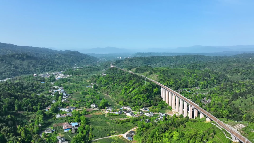 1773644968822505.jpg 3.jpg