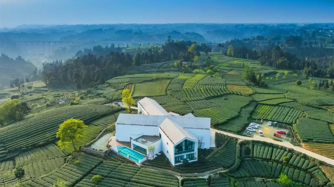 1773644971682487.jpg 4.jpg