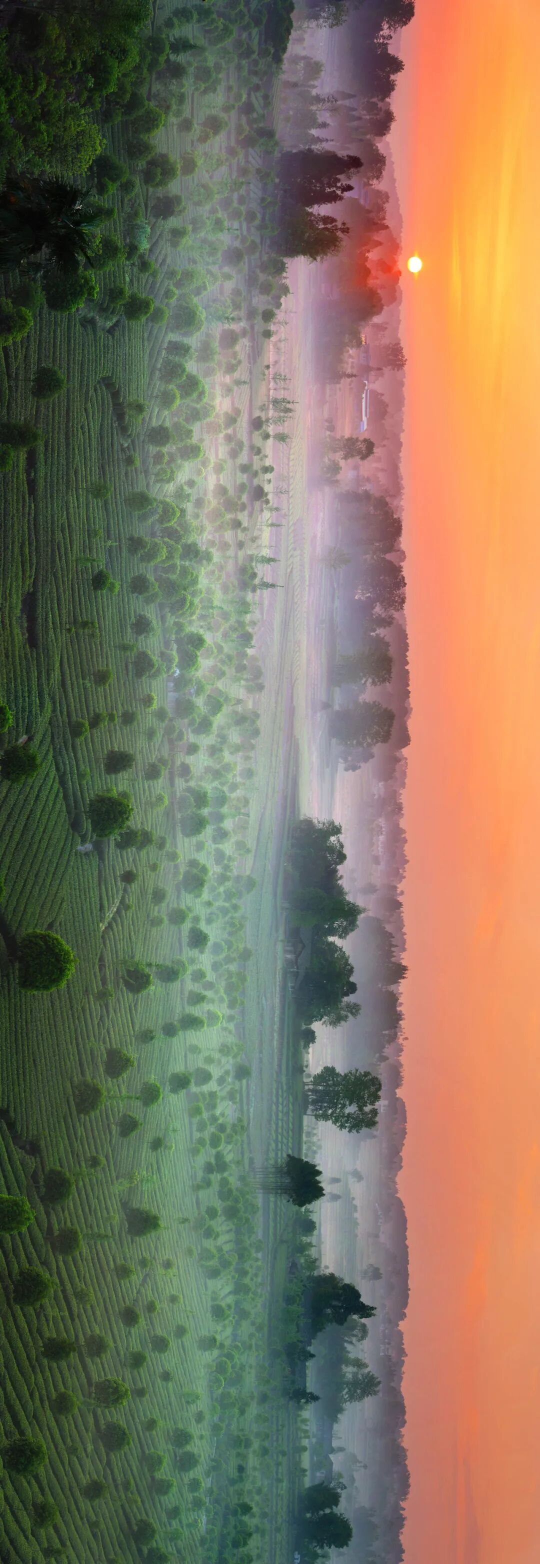 1773644989441087.jpg 7.jpg