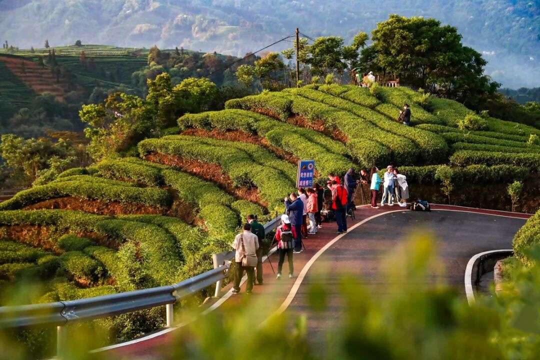 1773645221928177.jpg 8.jpg