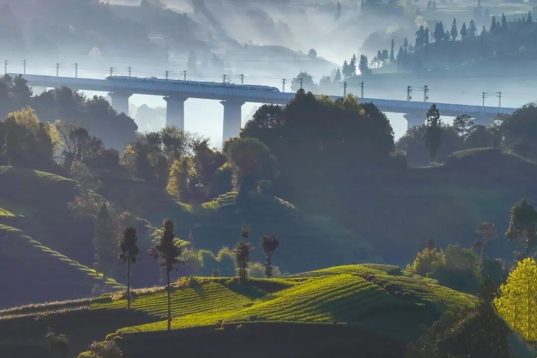 1773645223207171.jpg 9.jpg