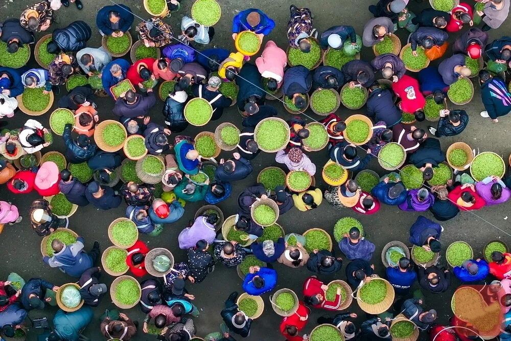 1773645241550089.jpg 10.jpg