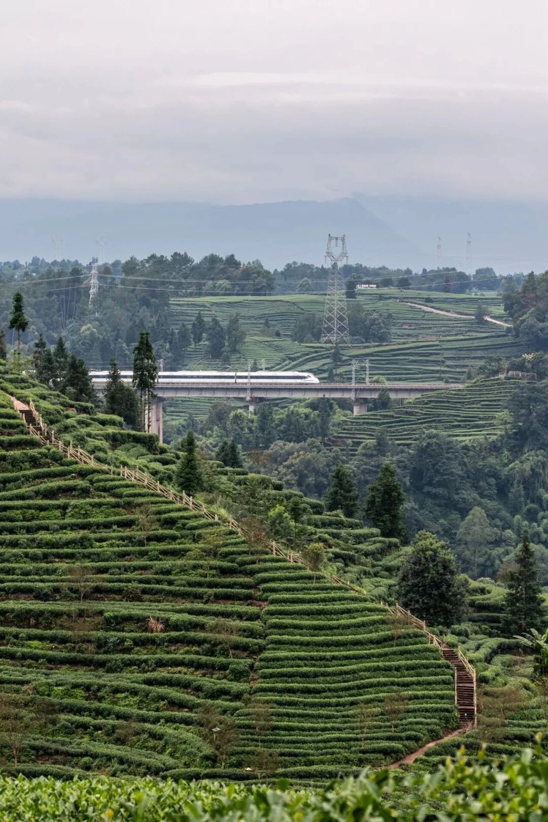 1773645945700132.jpg 13.jpg