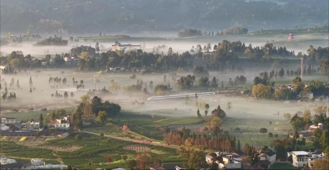 1773646376876450.jpg 1.jpg