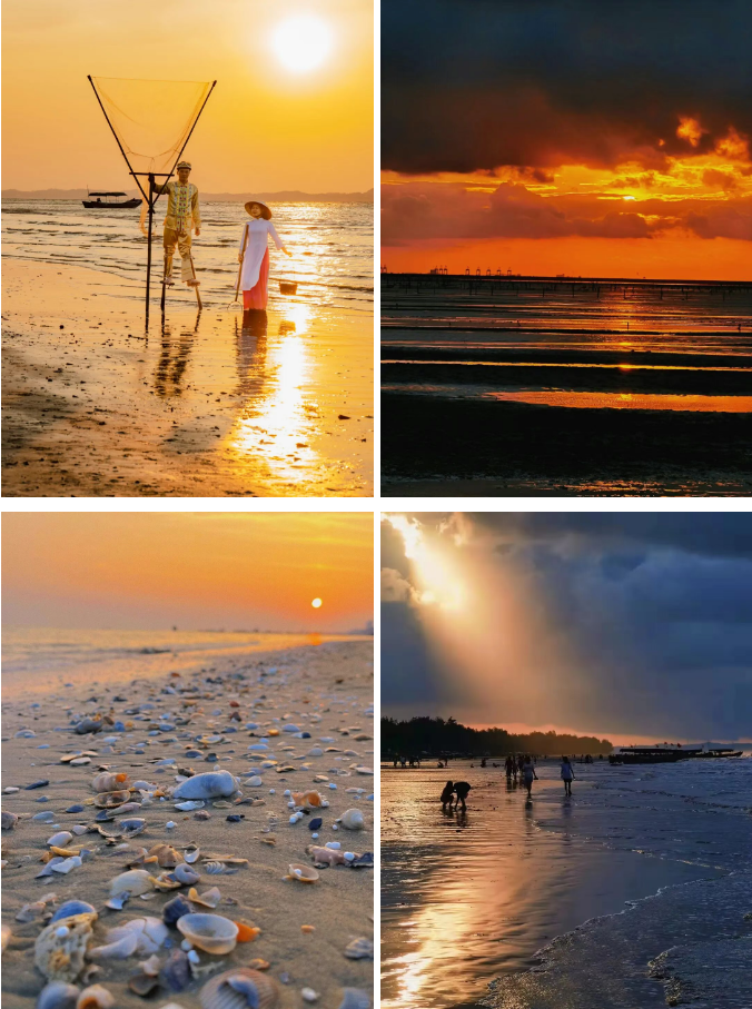 1773804148792396.png 2555f7e5534e27e1cf97e5fb1b53c157.png