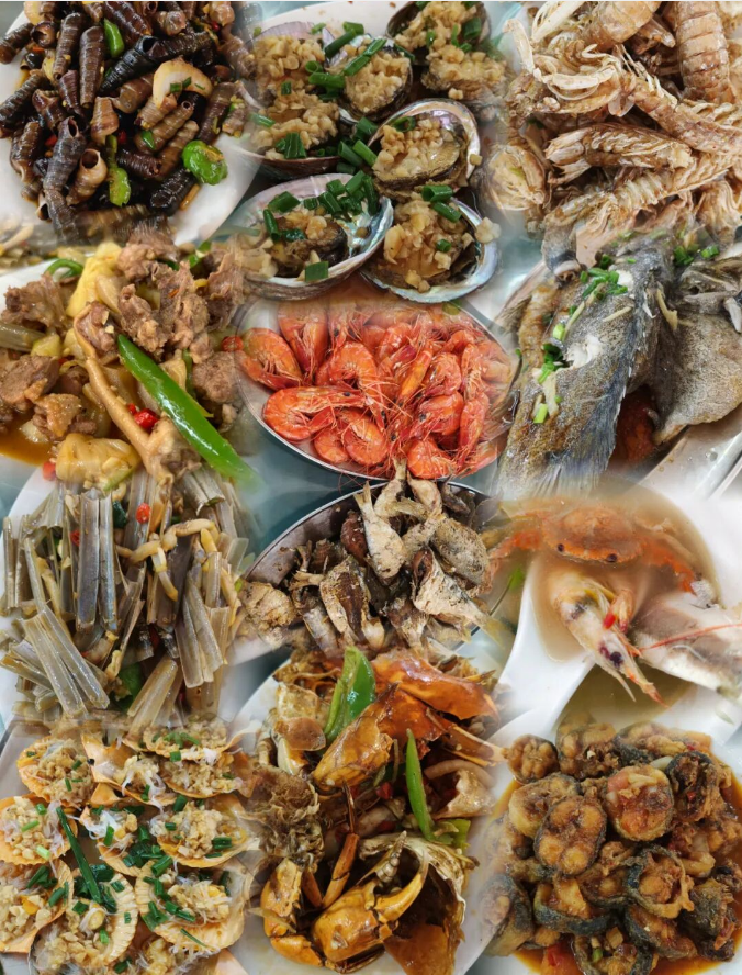 1773804703873071.png 792f08d47590d707c502a2f256dd3670.png