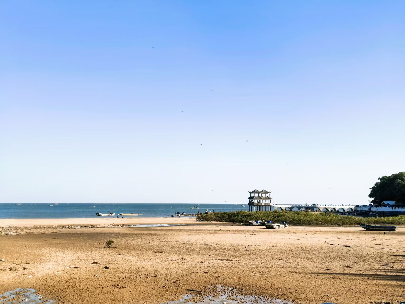 1773805197364384.jpg 00320171015a0a4285e3f5ff9dc0cbd8.jpg