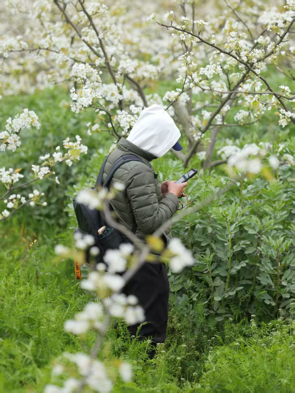 1774060279120395.jpg 6e08cb460dfec70d07abddffb33e825c.jpg