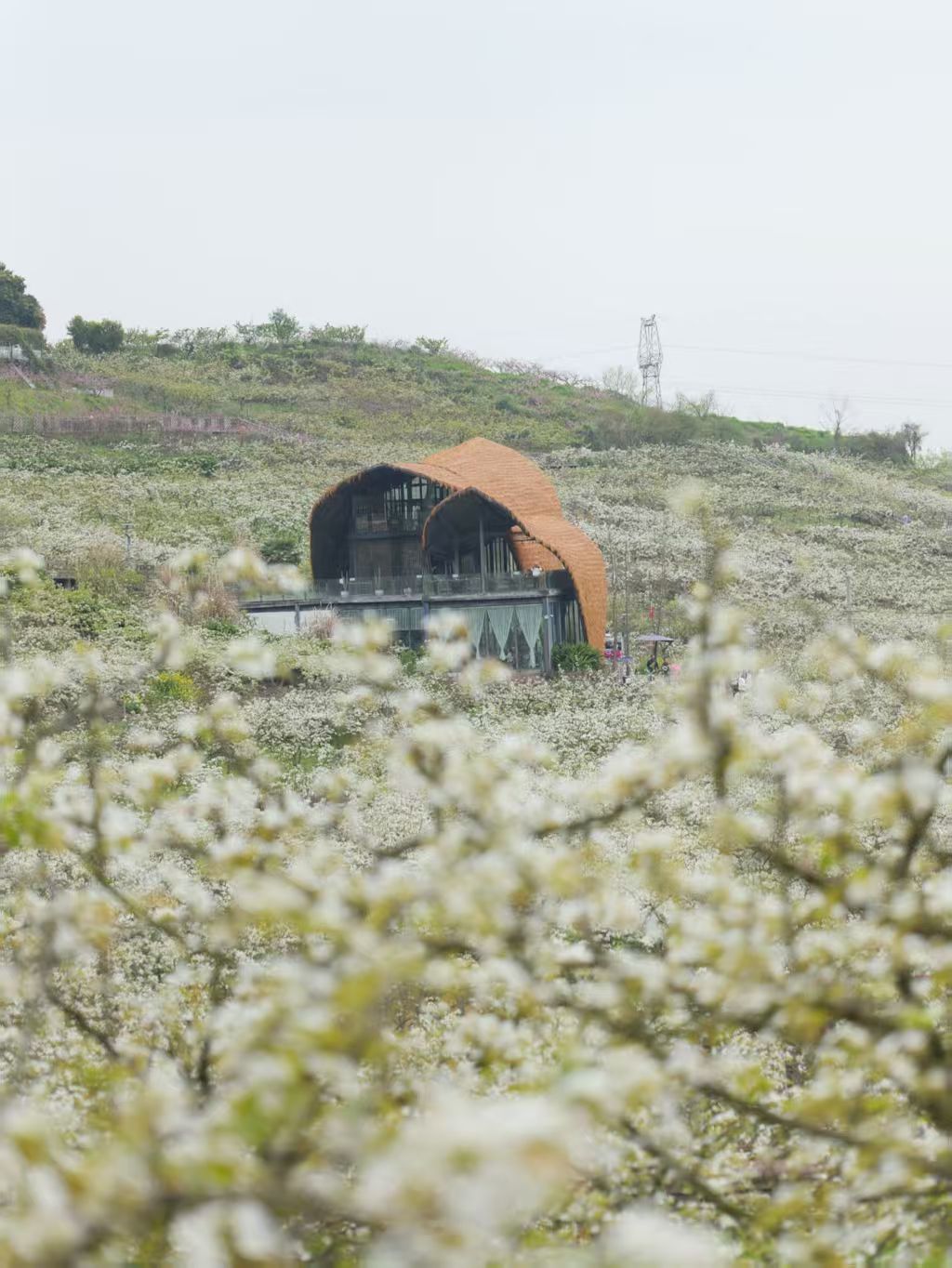 1774060290186887.jpg be2a0b36ffcb98146e3fbe2cf5ba0a31.jpg