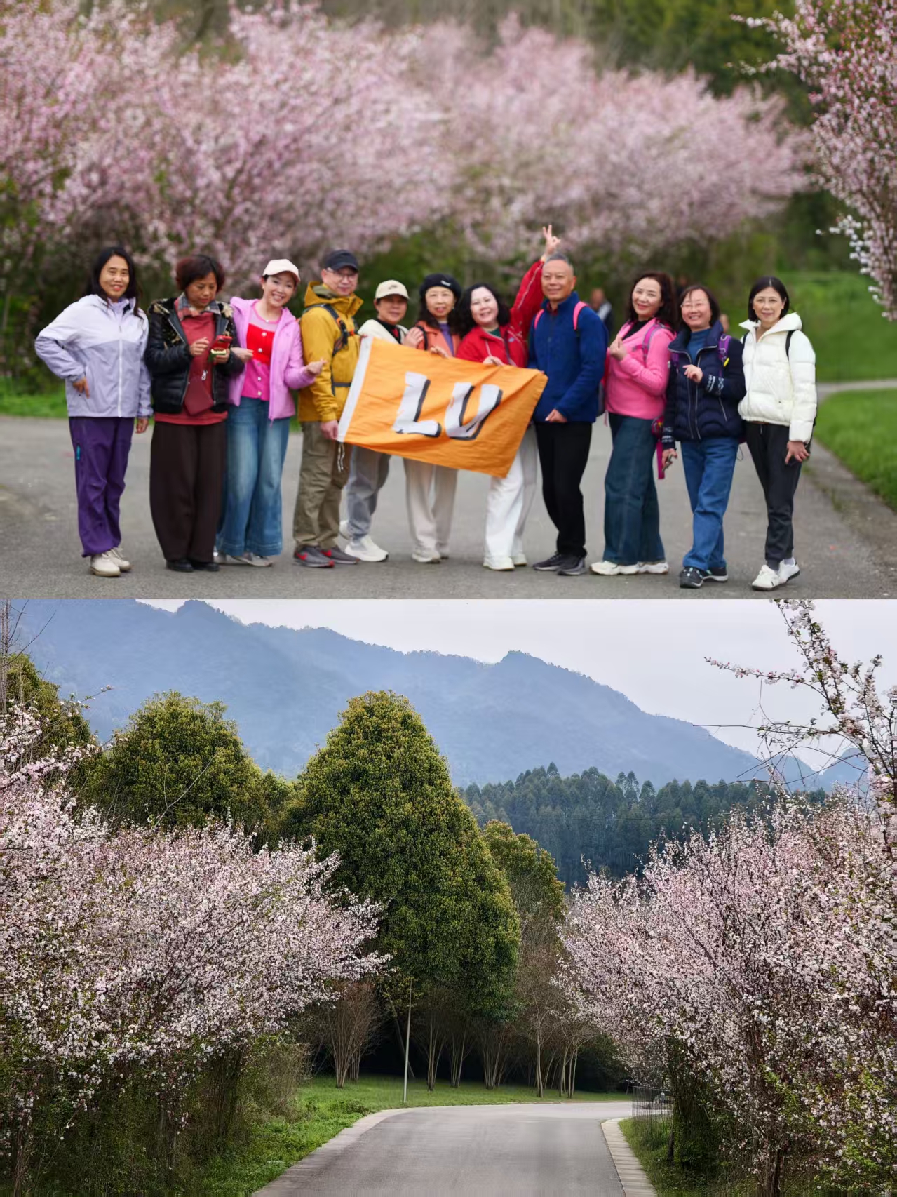 1774060299772221.jpg 63dc81f5b5a2d2c31649937651dd85af.jpg