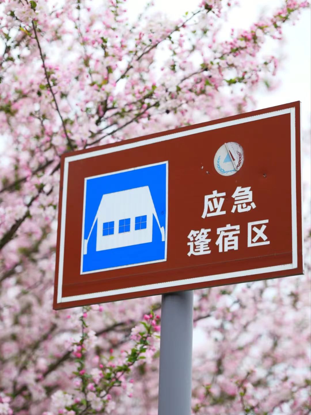 1774060315378257.jpg 5d3ec2a9e4a90e1881dfb44f8e11af5d.jpg