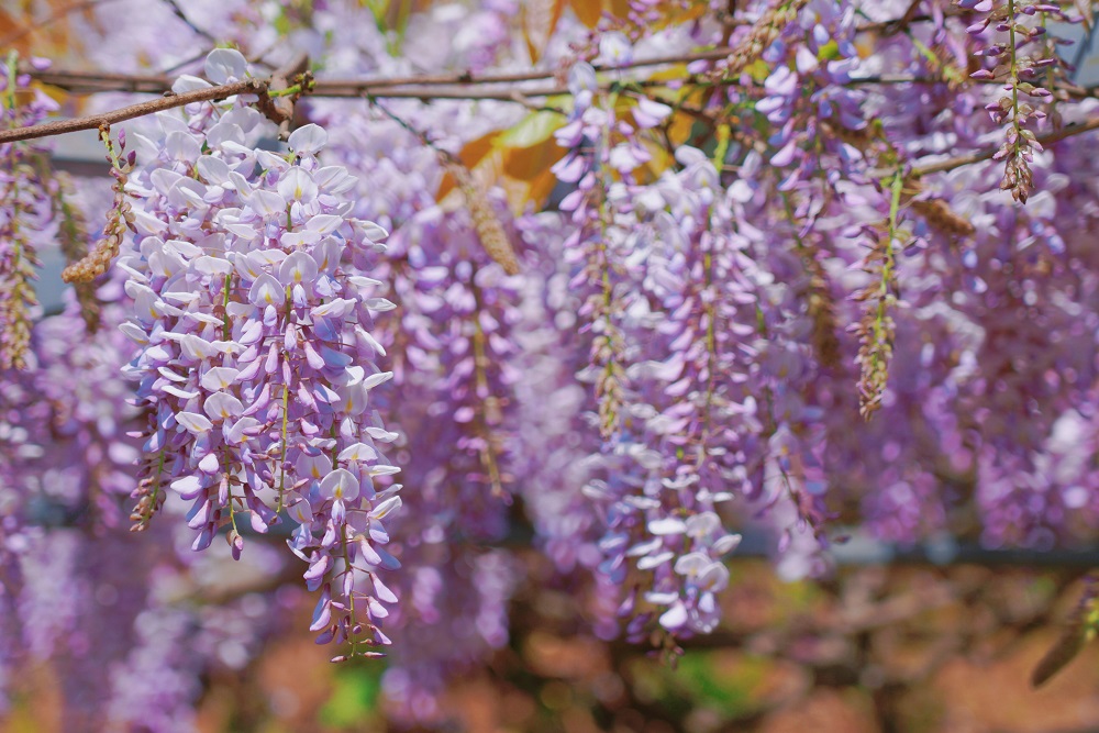 1774514834109068.jpg d6a8c4849562782674157c347c69c11f.jpg