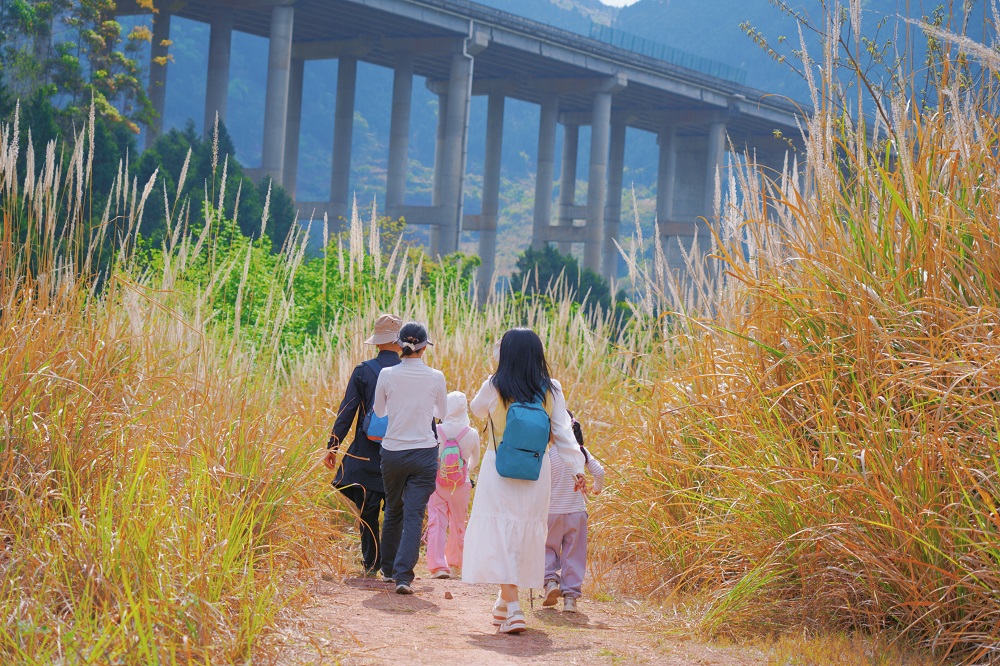 1774514857345949.jpg 37d136d37836e2248bd51d262f0ad16b.jpg