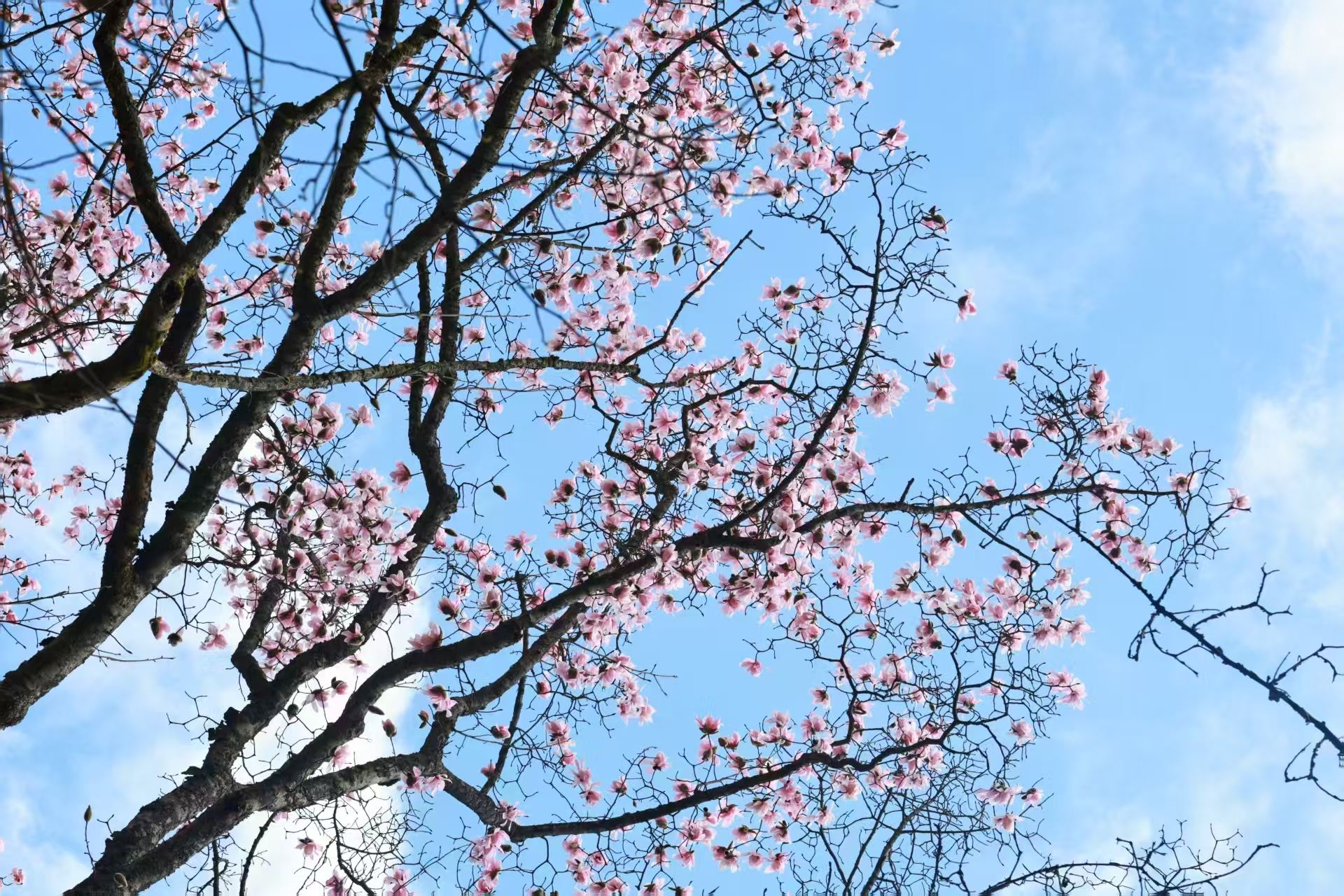 1774516627999876.jpg 微信图片_20260326171544.jpg