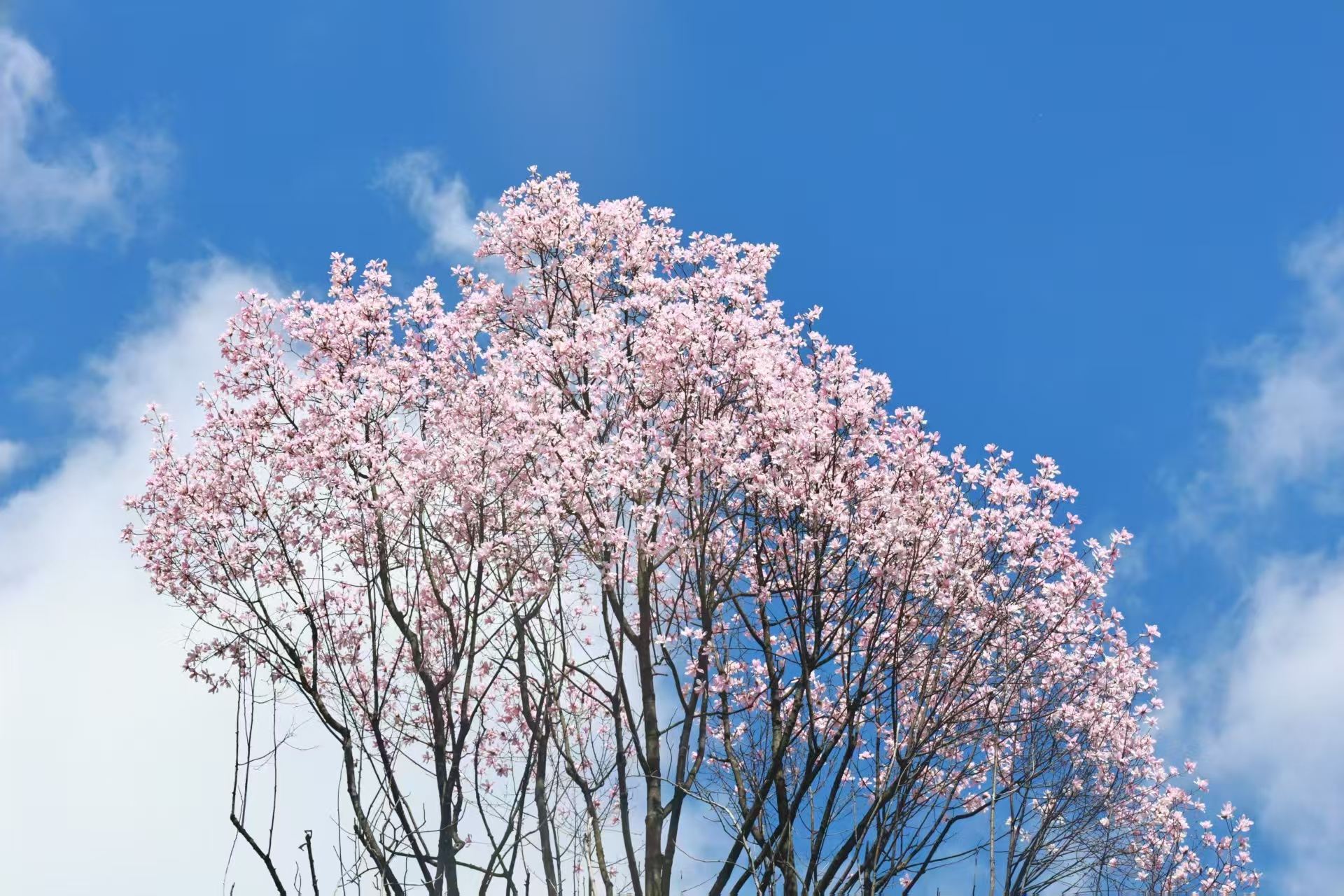 1774516630349563.jpg 微信图片_20260326171535.jpg