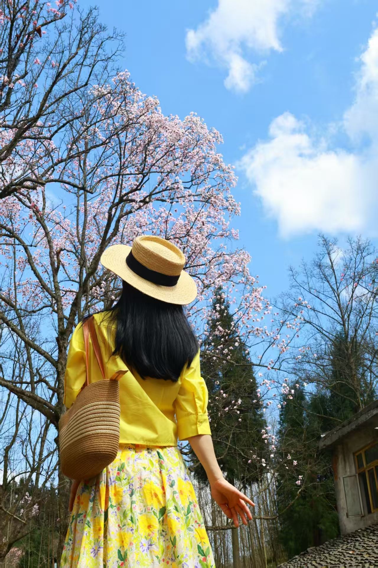 1774516632835214.jpg 微信图片_20260326171538.jpg