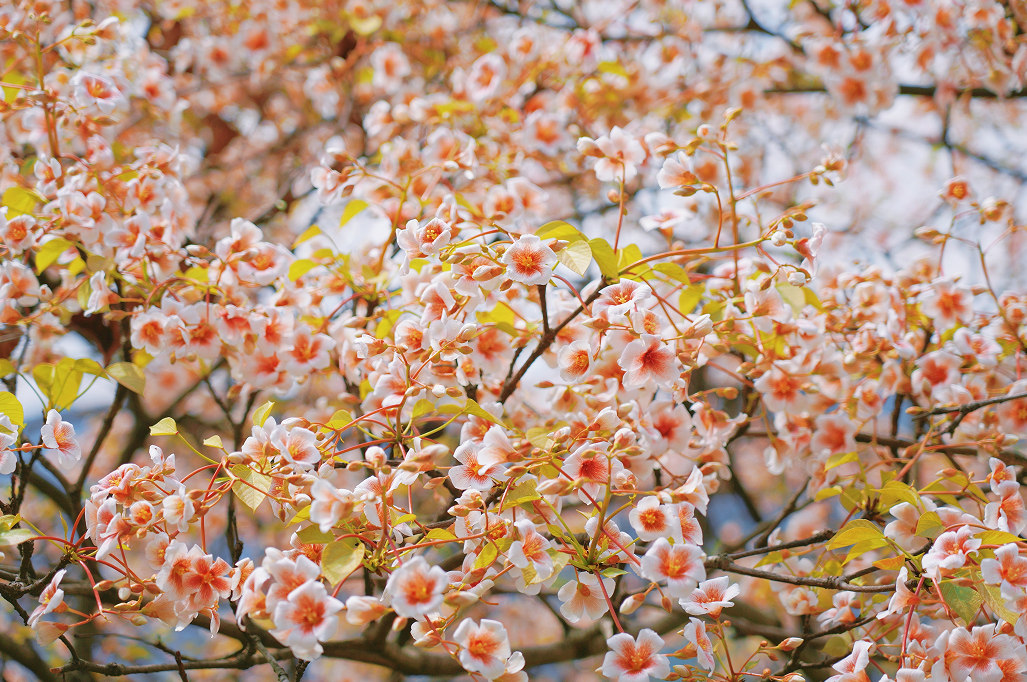 1774516968800729.png image.png