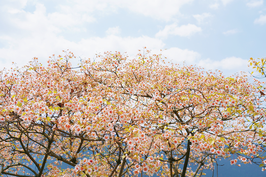 1774516984501946.png image.png