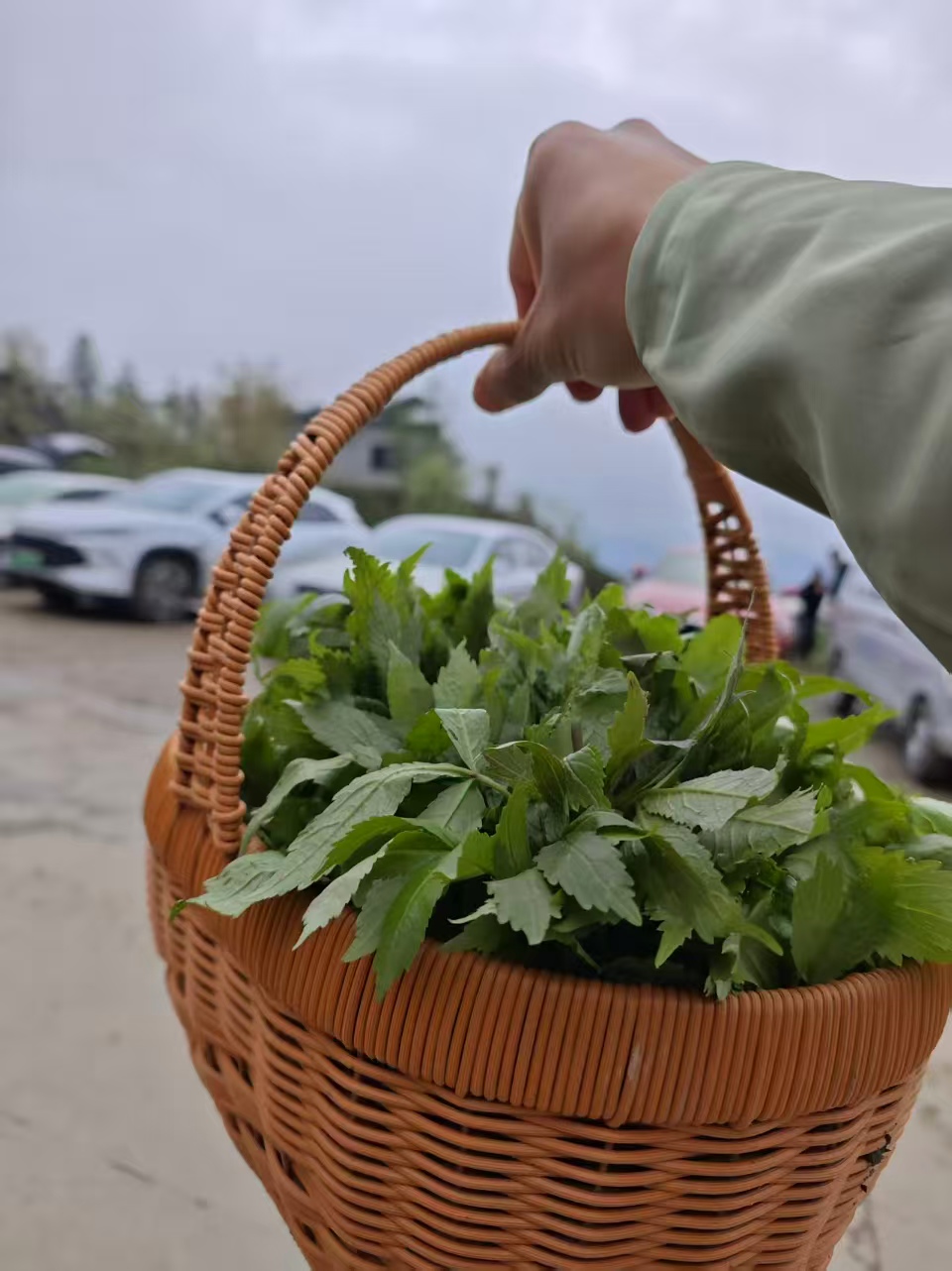 1774837606480815.jpg 微信图片_20260330102619.jpg