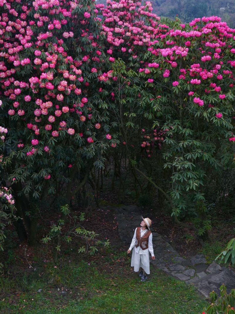 b0b70df990634361bca2a494556bf712 - 副本.jpg