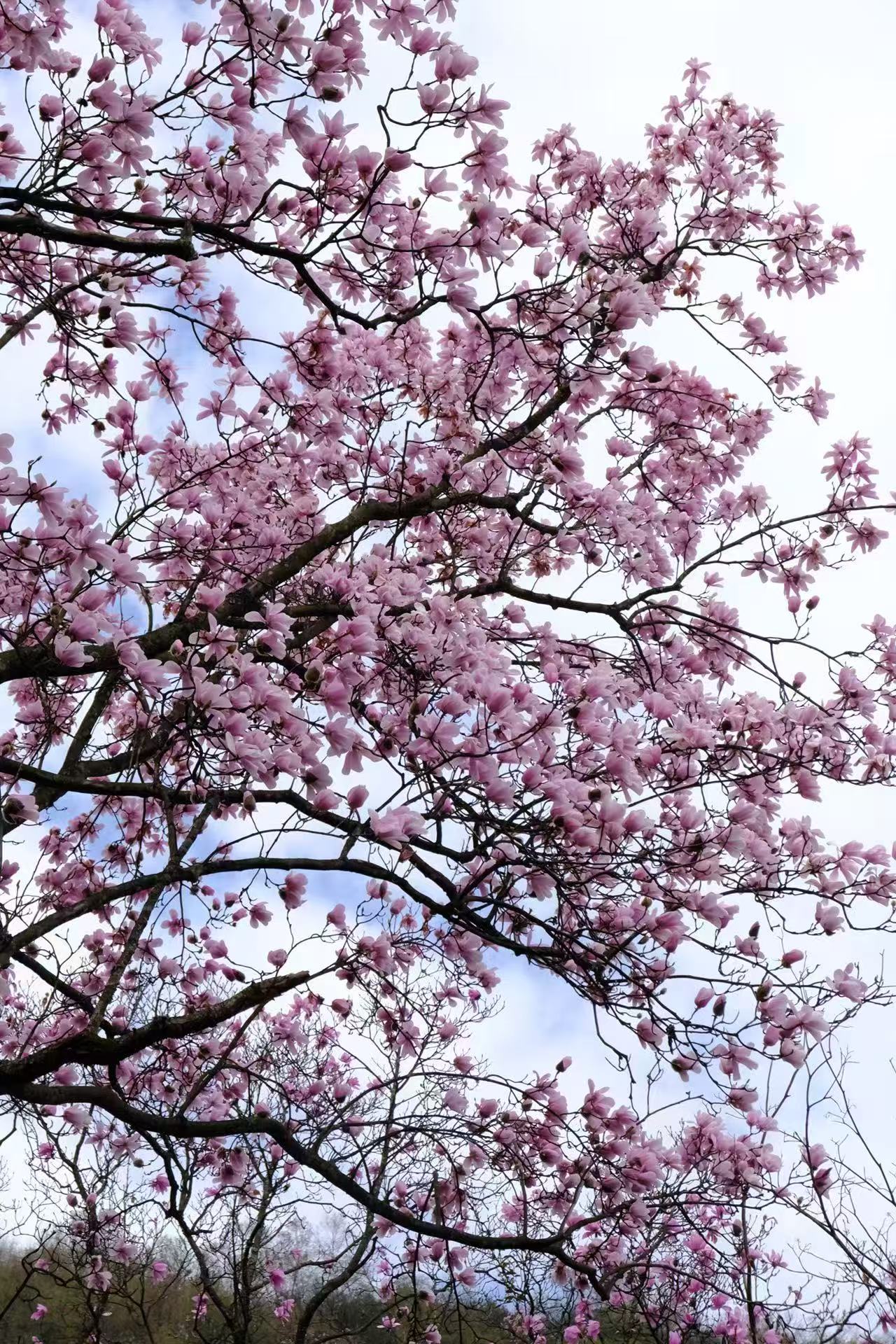 1774837950407049.jpg 微信图片_20260330103144.jpg