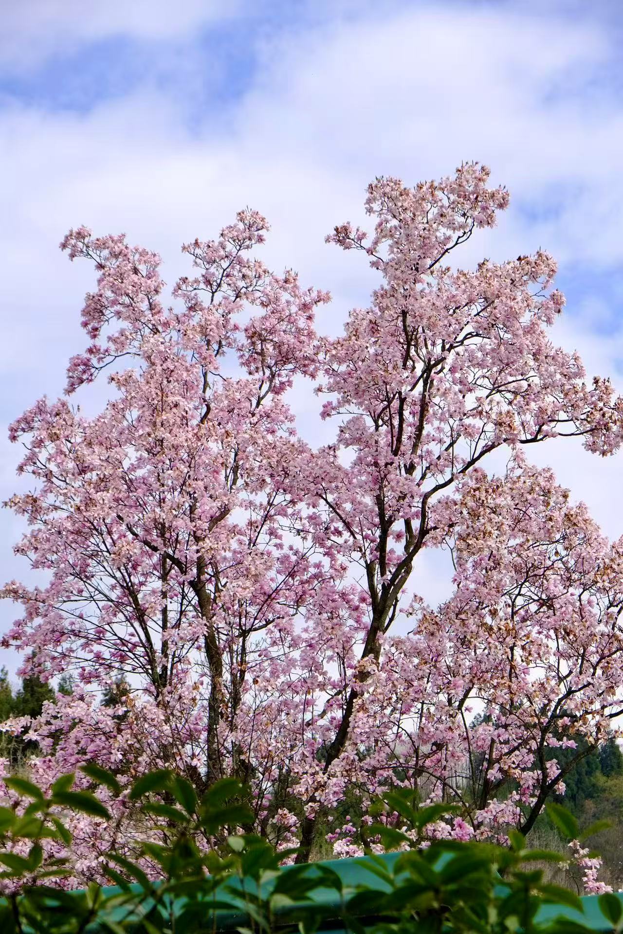 1774837952762571.jpg 微信图片_20260330103148.jpg