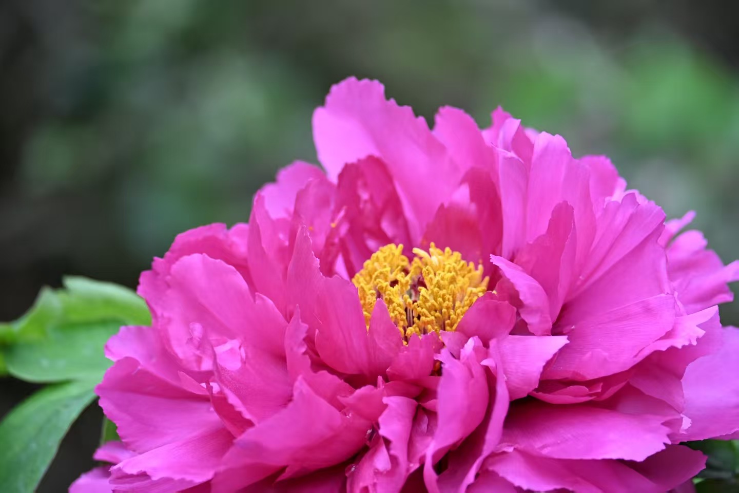 1774837977745582.jpg 微信图片_20260330103138.jpg