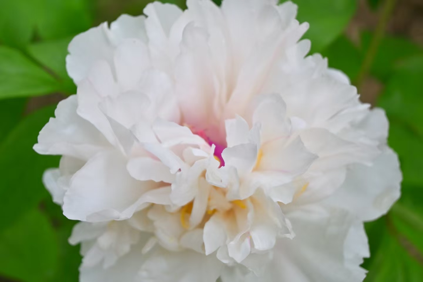 1774838062182937.jpg 微信图片_20260330103404.jpg