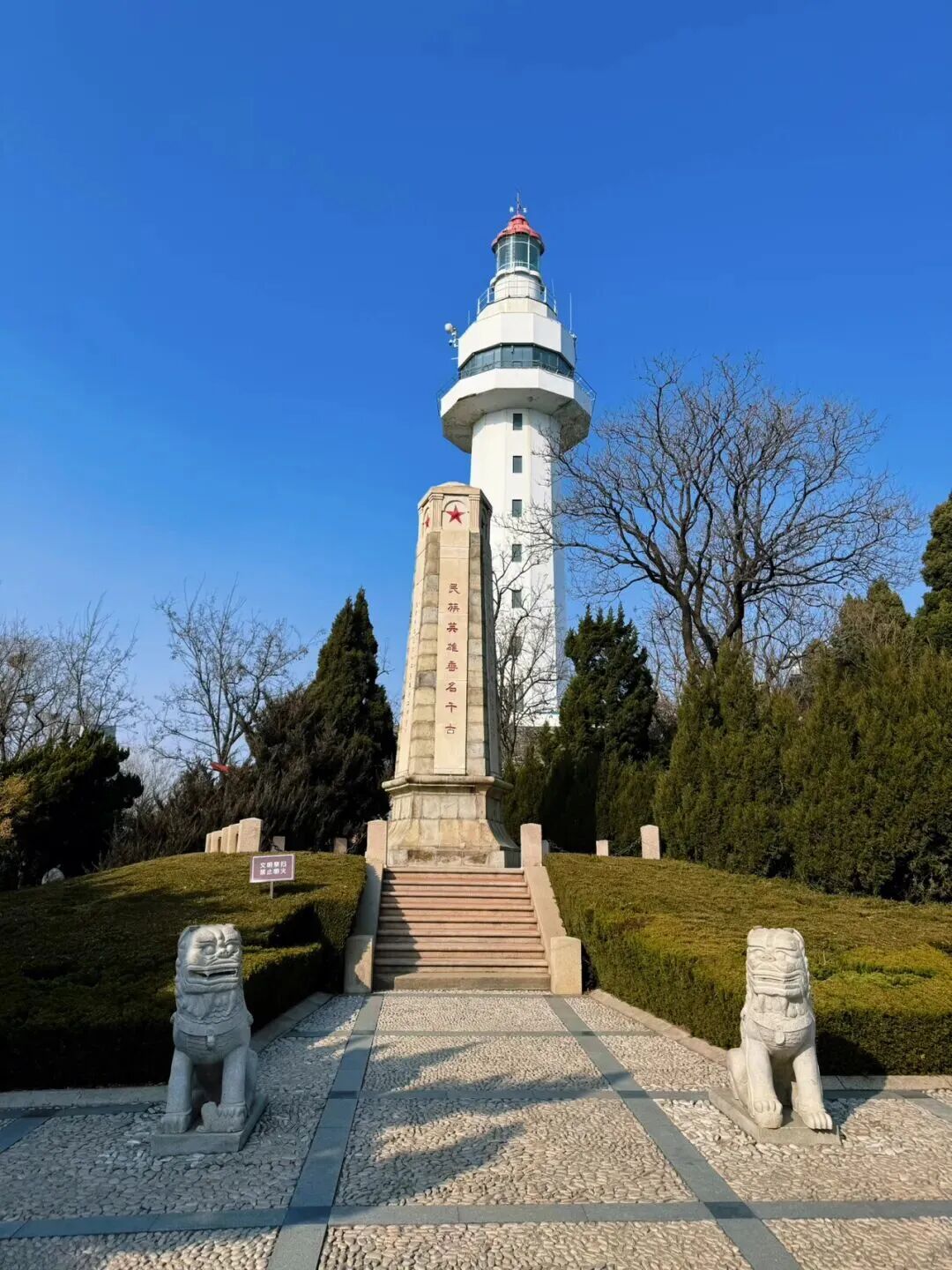 1774862035279152.jpg 640 (4).jpg