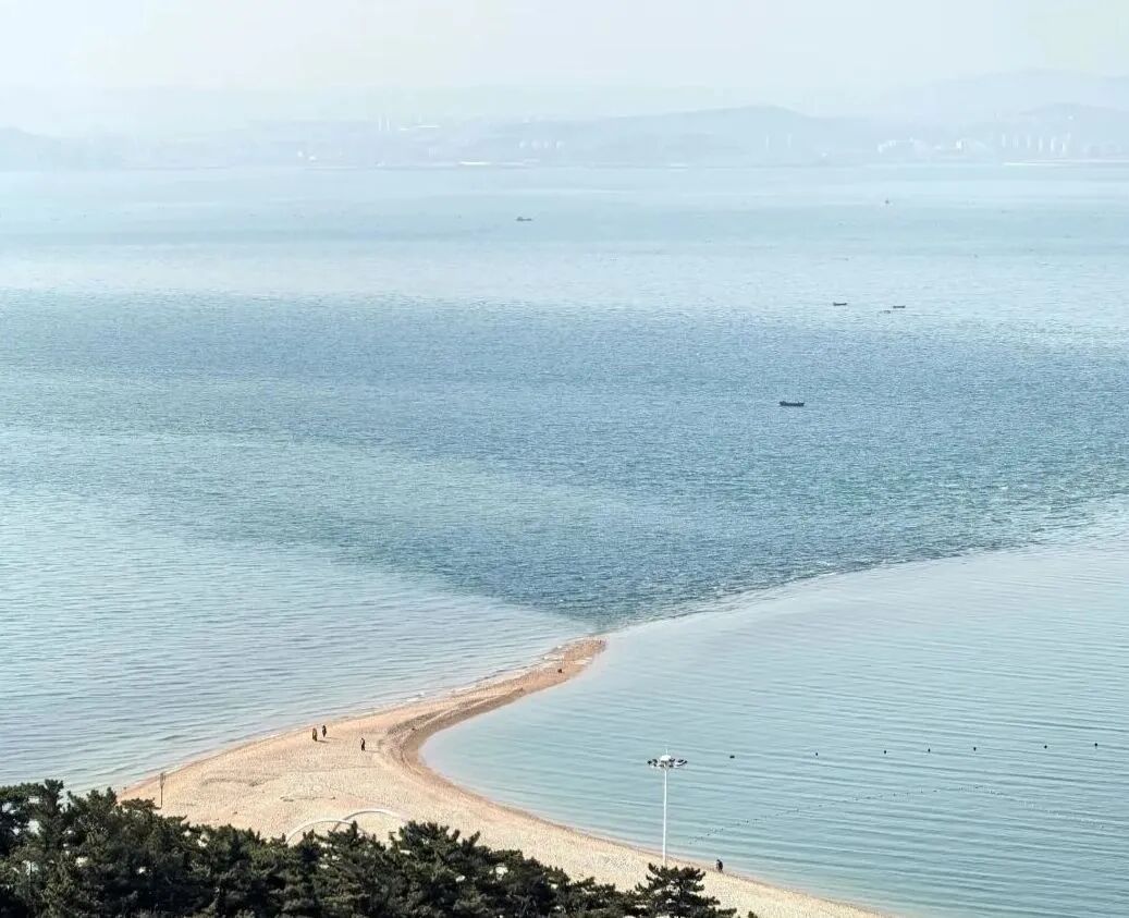 1774862095299454.jpg 640 (8).jpg