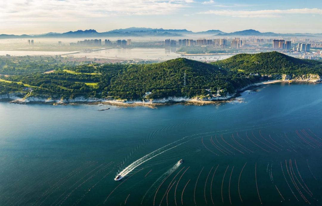 1774862117327536.png 640 (3).png